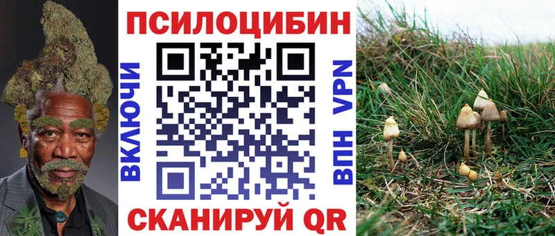 Купить  Велиж  Галлюциногенные грибы GOLDEN TEACHER 